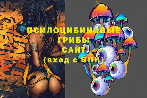 эйфоретик Вяземский